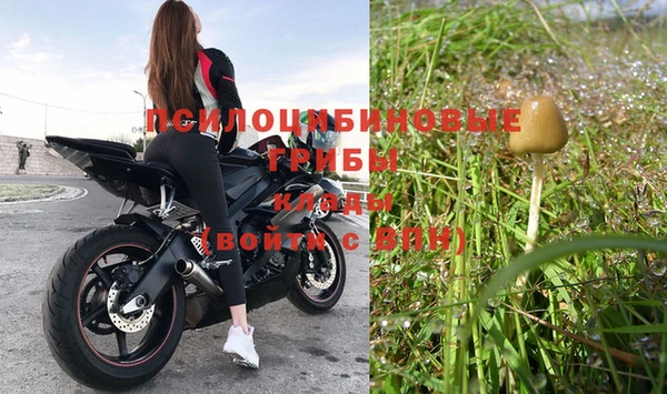 амфетамин Богданович