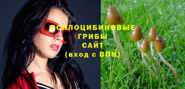 ECSTASY Бородино