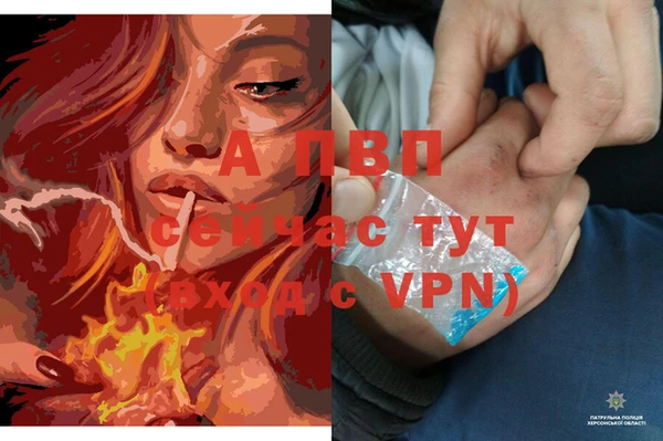 амфетамин Богданович