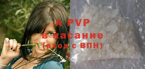 ECSTASY Бородино