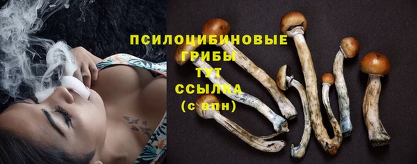 ECSTASY Бородино